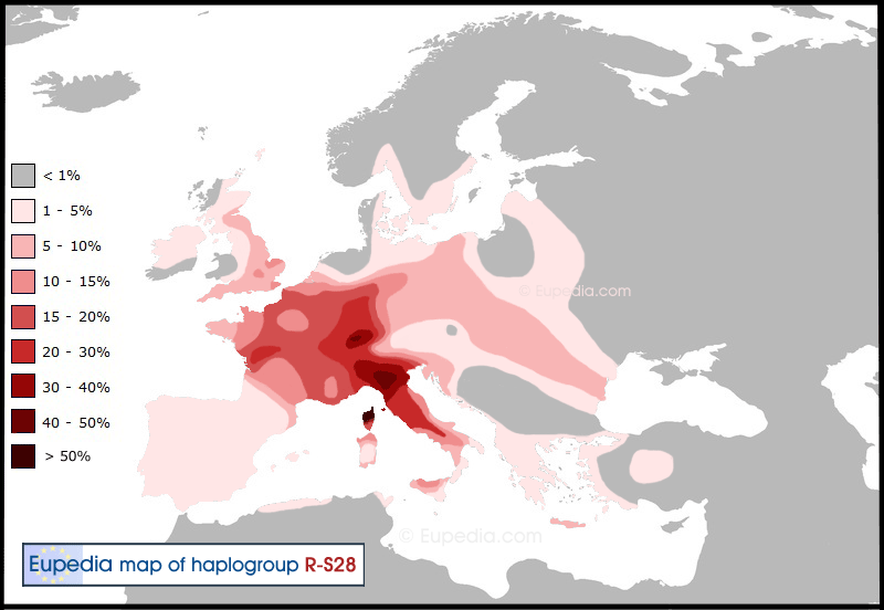 Haplogroup-R1b-S28.gif