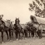 Conestoga Wagon – Farmer John Shreiner and his Conestoga Wagon, Lancaster County, PA, circa 1910.